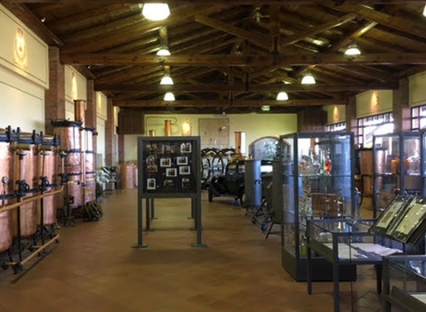 Vetrine espositive per musei della linea Argurion Museo Distilleria Berta