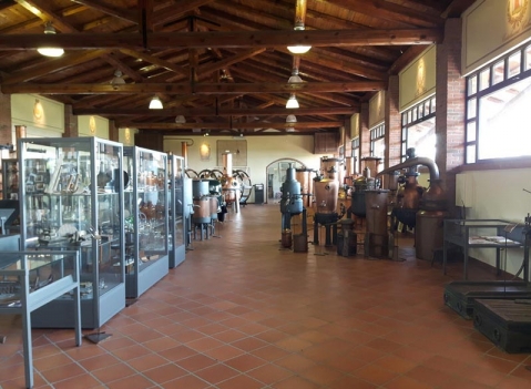 Vetrine espositive per musei della linea Argurion Museo Vetrine espositive a isola, vetro stratificato e struttura in alluminio  Distilleria Berta
